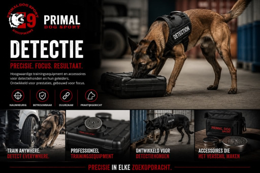 Detectie