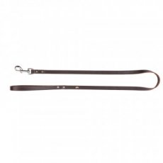 10025 10025 LEATHER LEASH RIVETED 120 X 1,2 CM BROWN