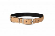 14260 14260 "TERRA SAND" DOG COLLAR 1,6 X 45 CM BEIGE