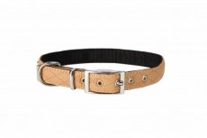 14261 "TERRA SAND" DOG COLLAR 2,0X55 CM BEIGE