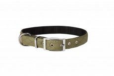 14266 14266 "TERRA FOREST" DOG COLLAR 1,6X45CM KHAKI