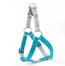 94455 TWILIGHT SILVER HARNESS "FRED", SIZE 60 TORQUOISE-GREY