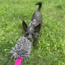 15650 15650 SQUEAKY MOP BITE TUG,50-55CM, GREY