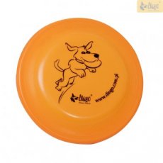 17488 Frisbee