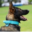 S03913 lederen halsband met handvat 'DRAGO'  40-48 CM - blauw